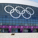 Illustration for article titled The Dogs Of Sochi